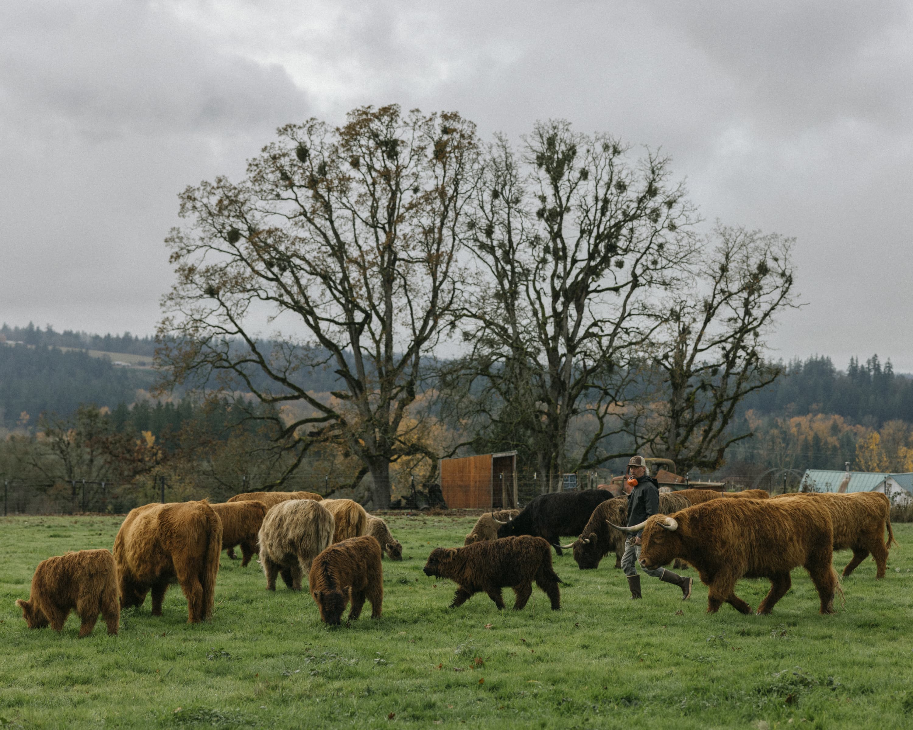 Rancho Dagno background